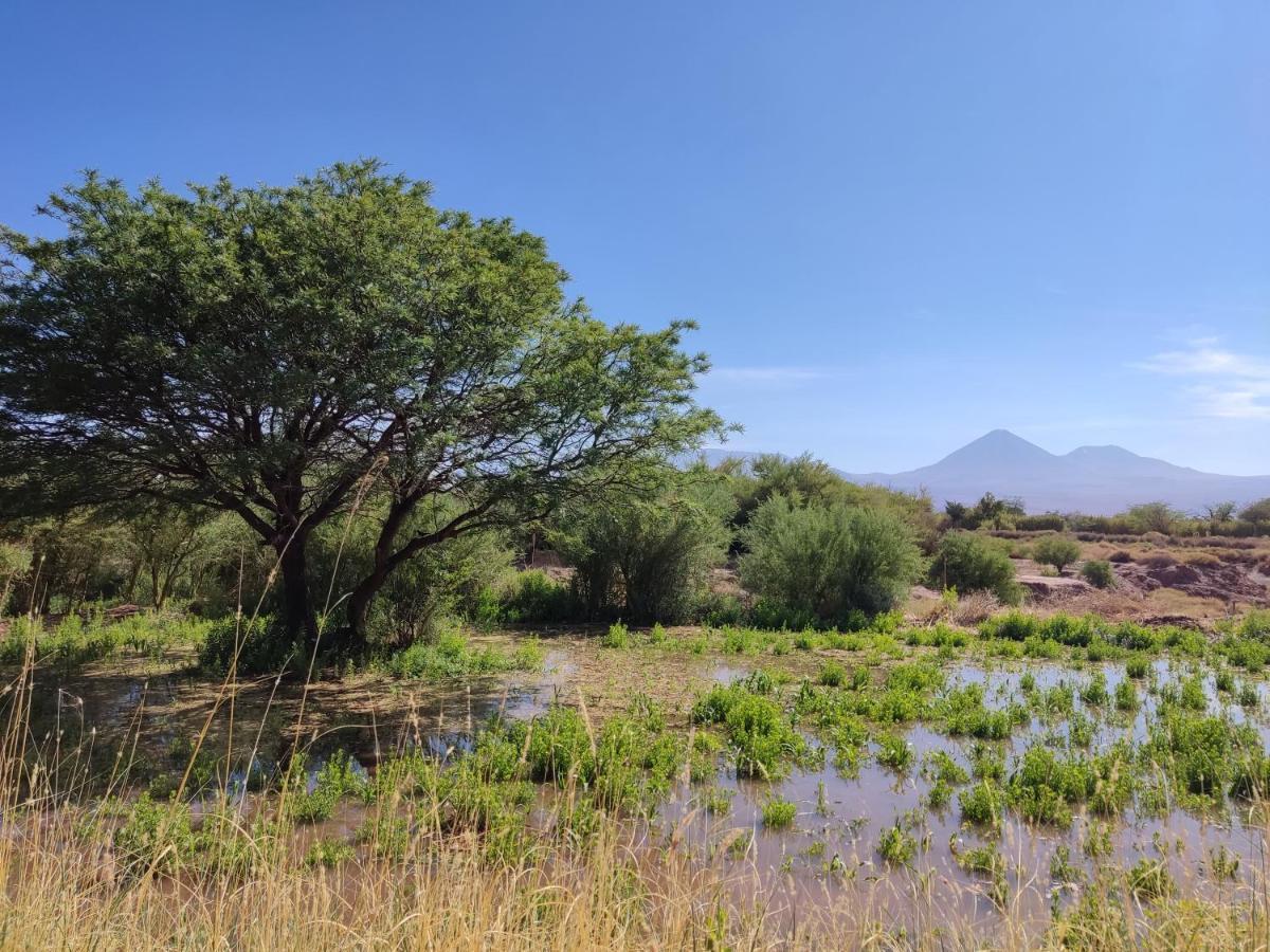 Cabanas Larache Villa San Pedro de Atacama Ngoại thất bức ảnh