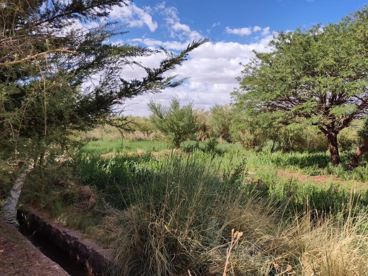 Cabanas Larache Villa San Pedro de Atacama Ngoại thất bức ảnh